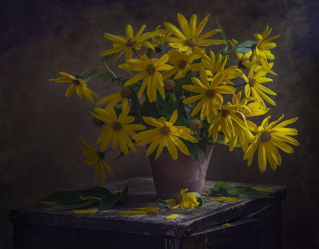 , Елена Рубинская