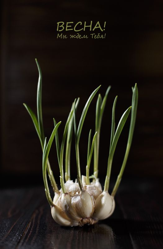 Ожидание фото превью