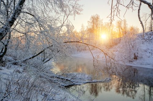 Морозное утро