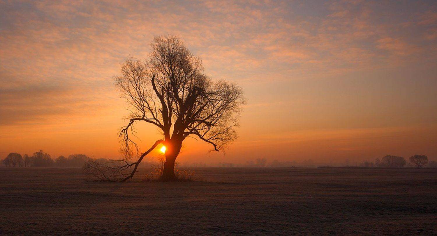 , Pawel Plucinski