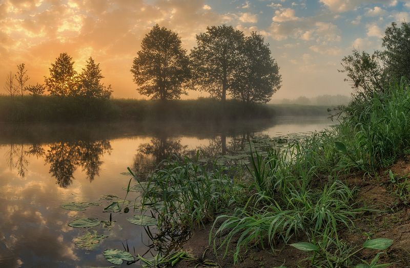 Летом на Шерне фото превью