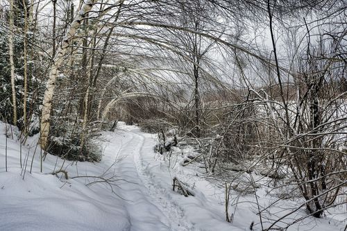 Прощай, зима!
