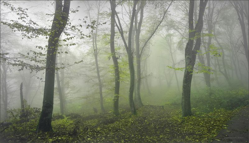 Дождаться весны.. фото превью