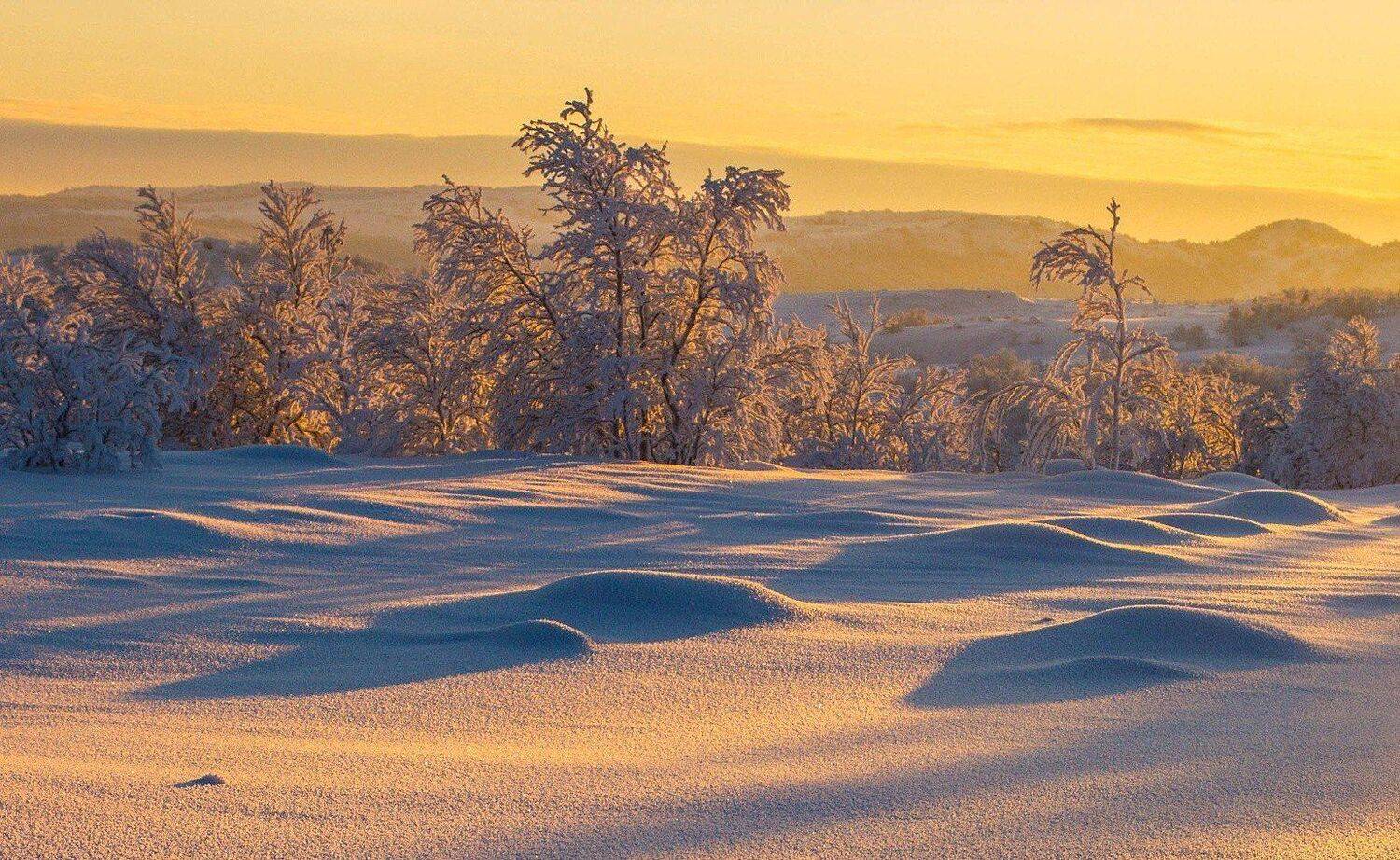 пейзаж, природа, закат, солнце, свет, сопки, деревья, север, сугробы, снег, Салтыкова Алёна