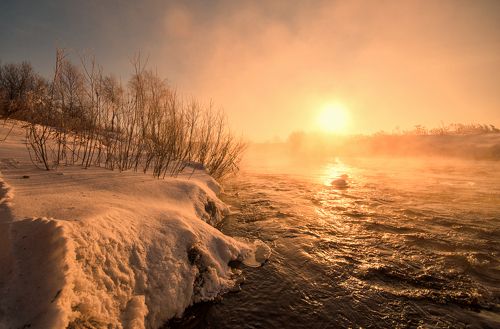 Золотое утро