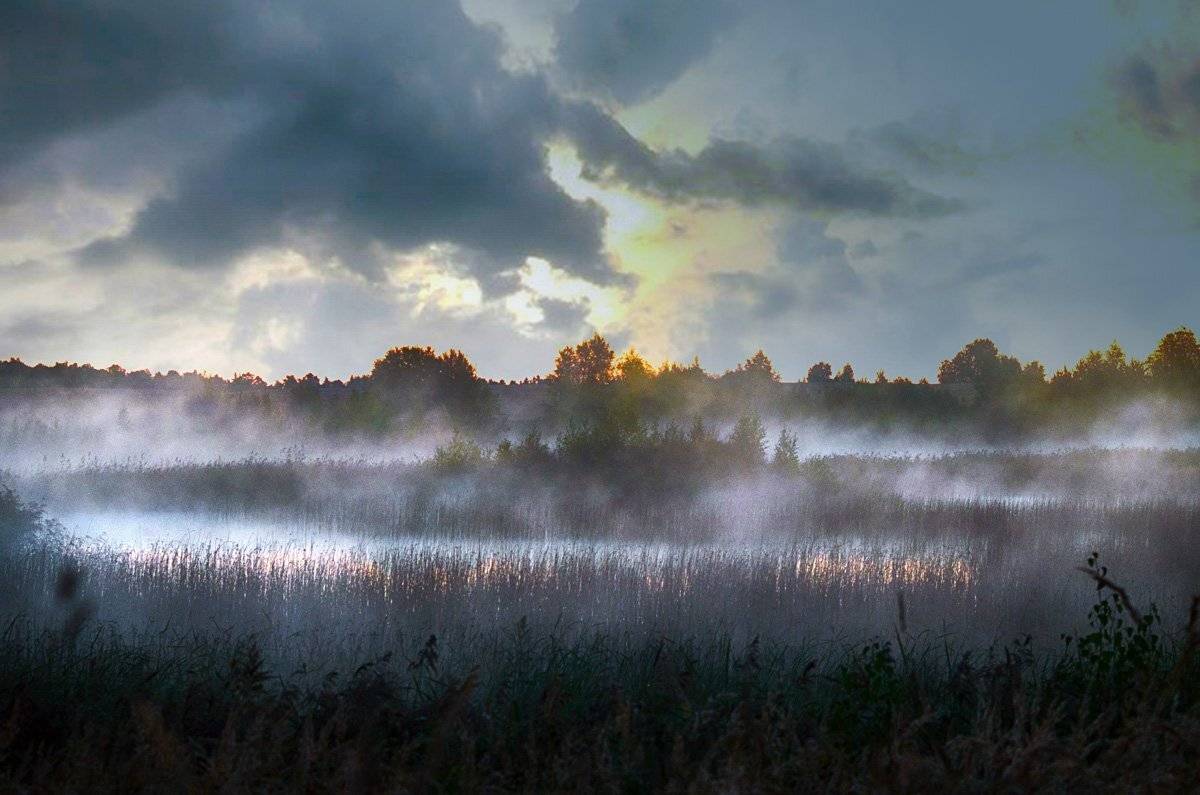 туман, Rimantas Petrikas