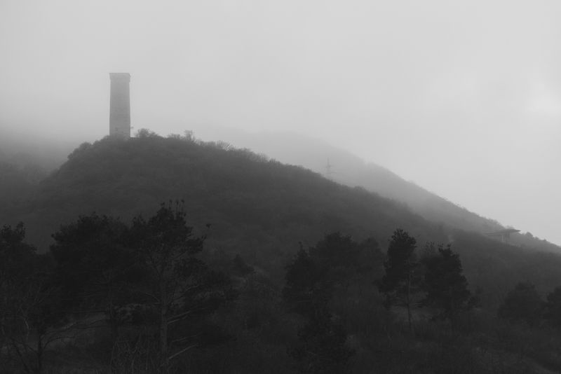 foggy фото превью