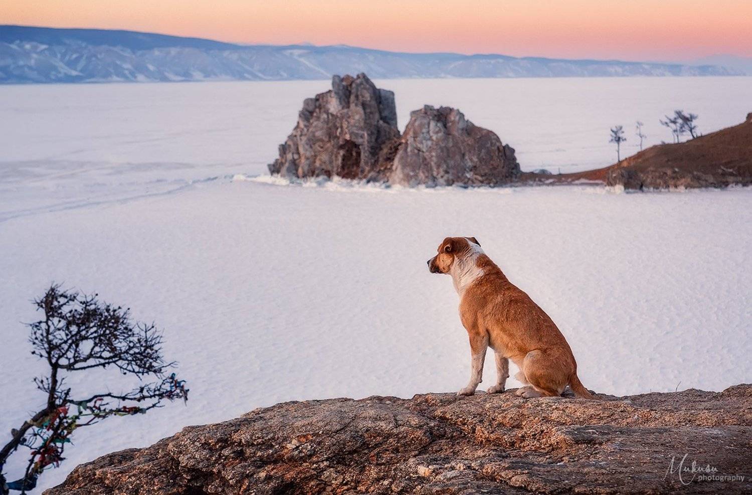 ольхон, байкал, пейзаж, Алексей Самойленко