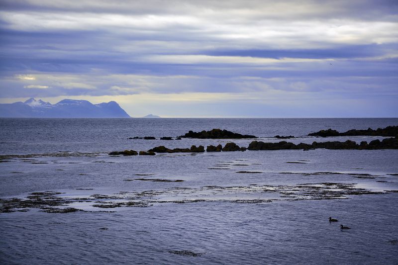 На берегу фото превью