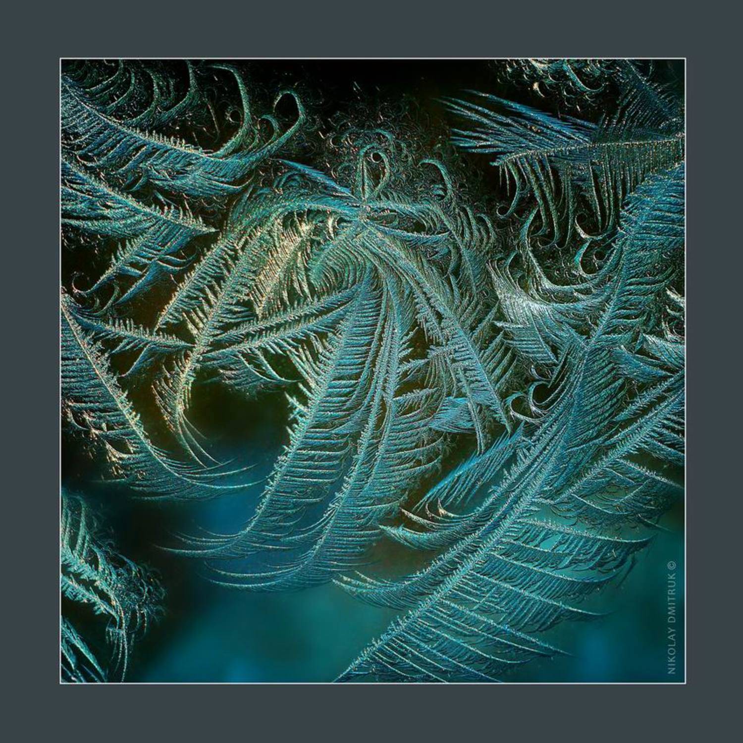 абстракция, мороз, музыка, николай дмитрук