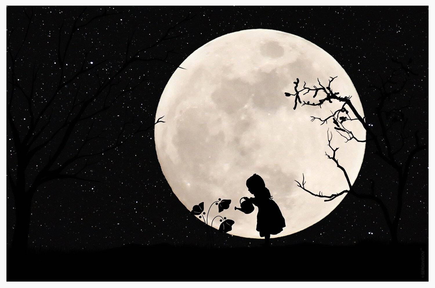 ночь, луна, девочка, цветы, Sergii Vidov