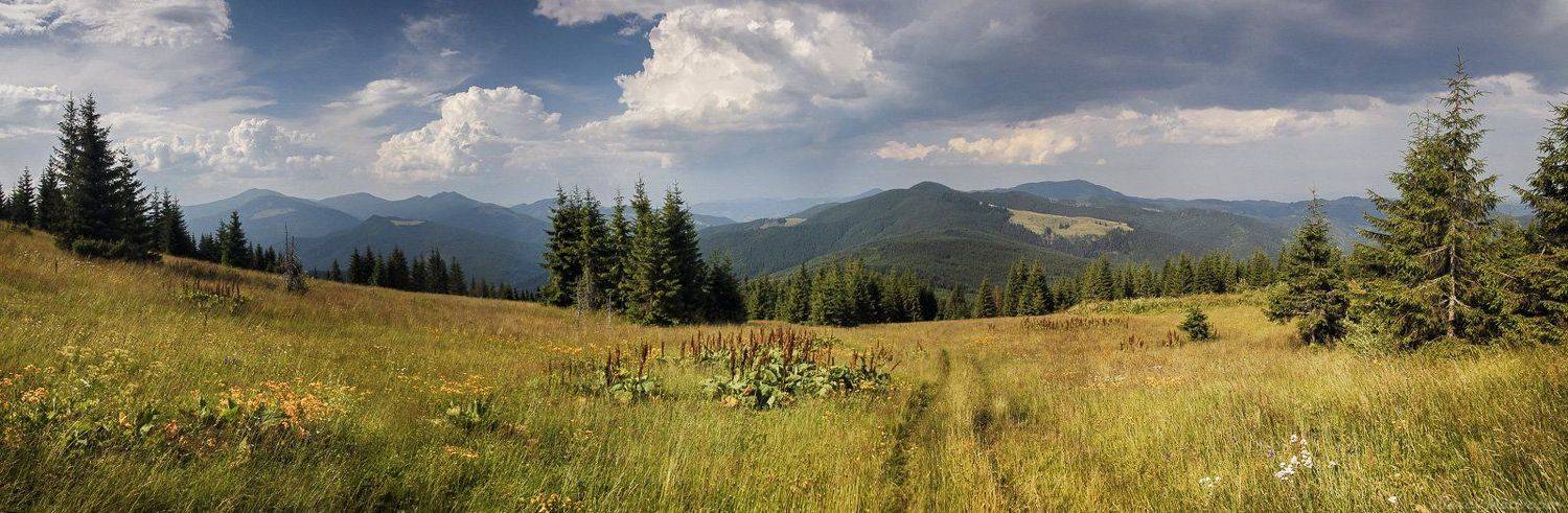  	горы,  Карпати, полонина, скеля, сонце, Чорногора, Карпаты, панорама,, Алексей Медведев