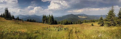 Урочище Галя-Луковиця