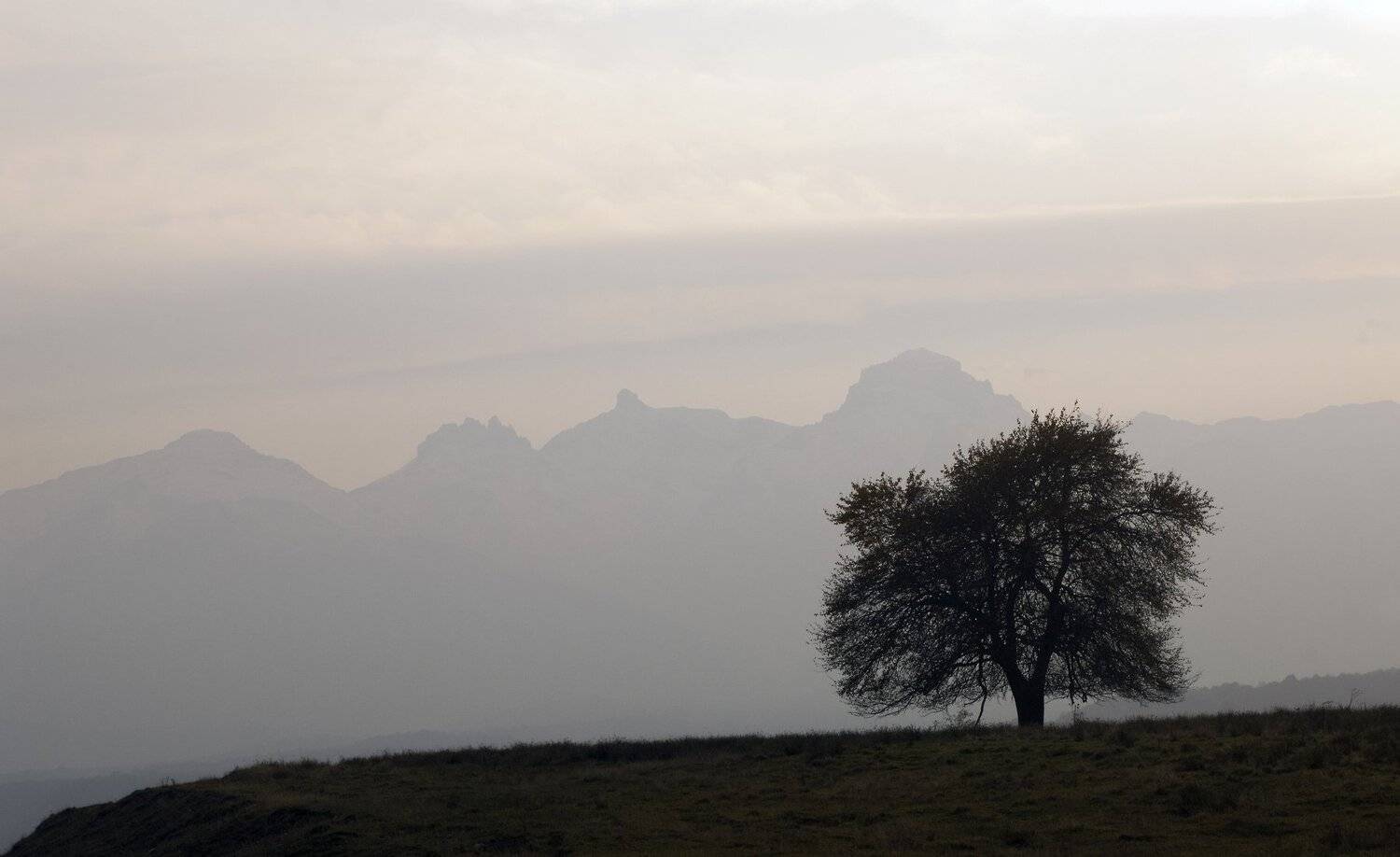 пейзаж, Михаил Пшеннов