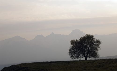 Одиночество