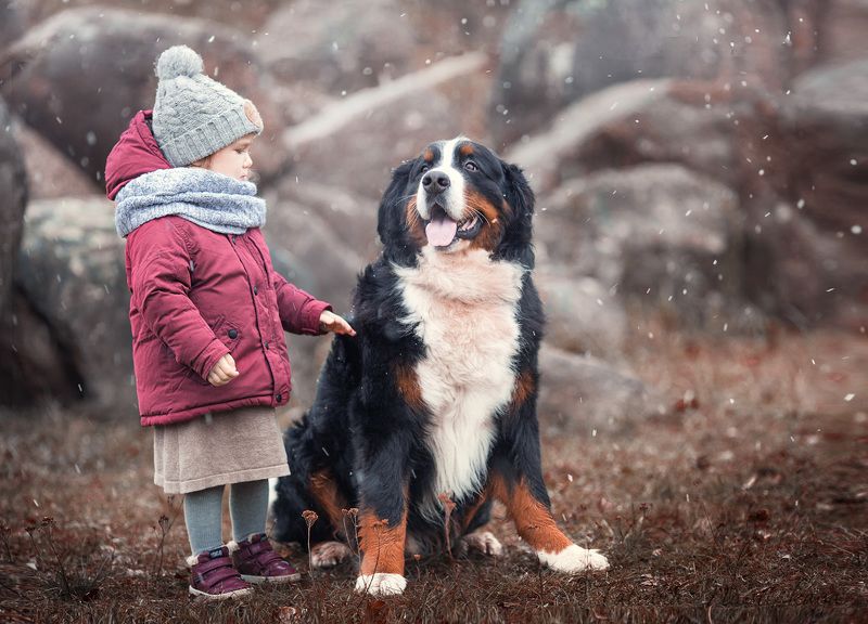 собака, ребенок, друг, осень, снег, коричневый, друзья, разговор Лучший друг фото превью