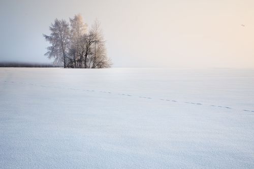 Белая пустыня