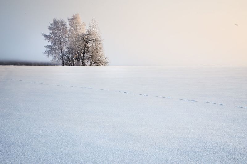 winter, frost, water, ice,snow, мороз, зима, утро, пейзаж. лед, иней Белая пустыня фото превью