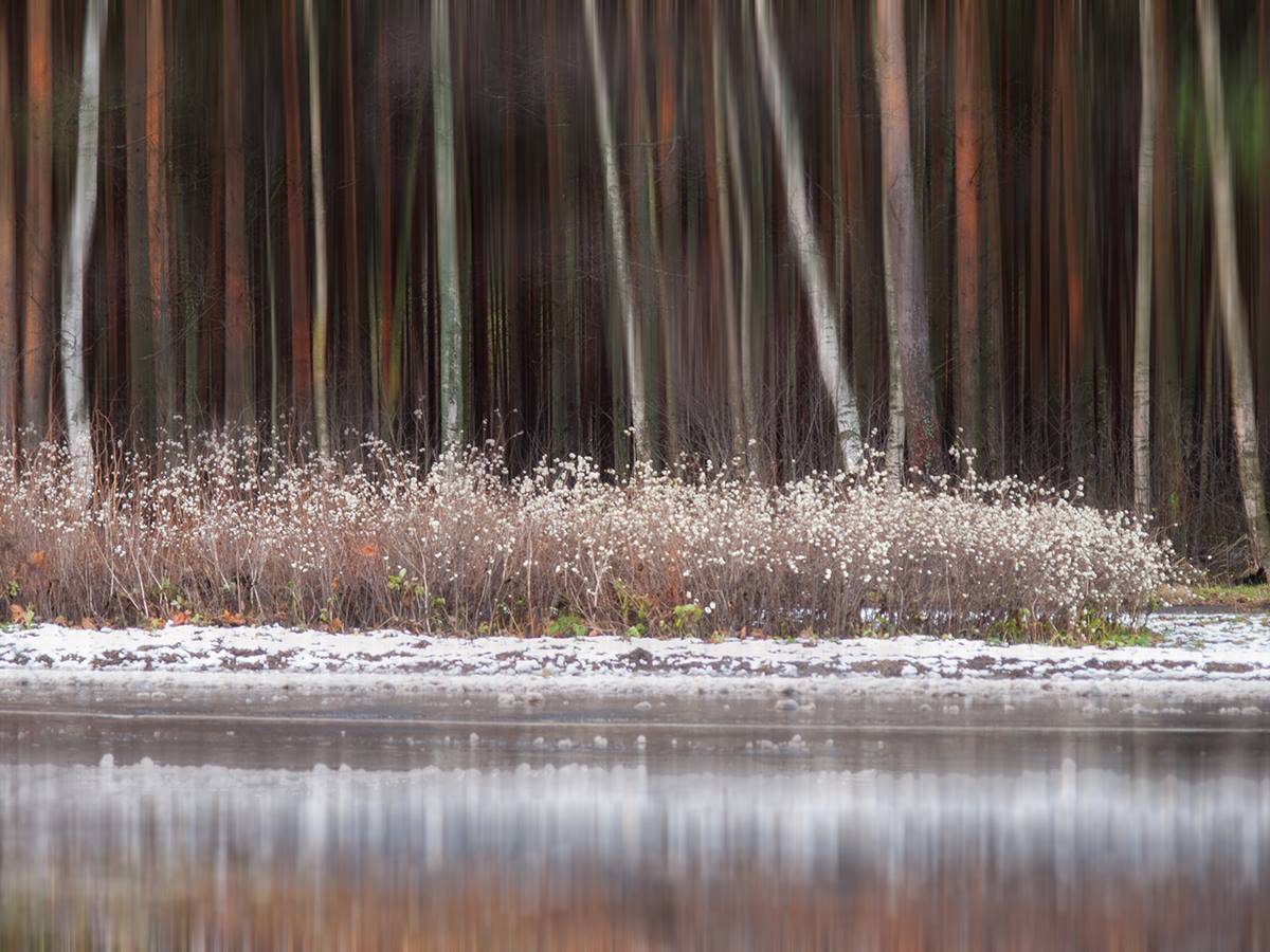 , Штабнов Юрий