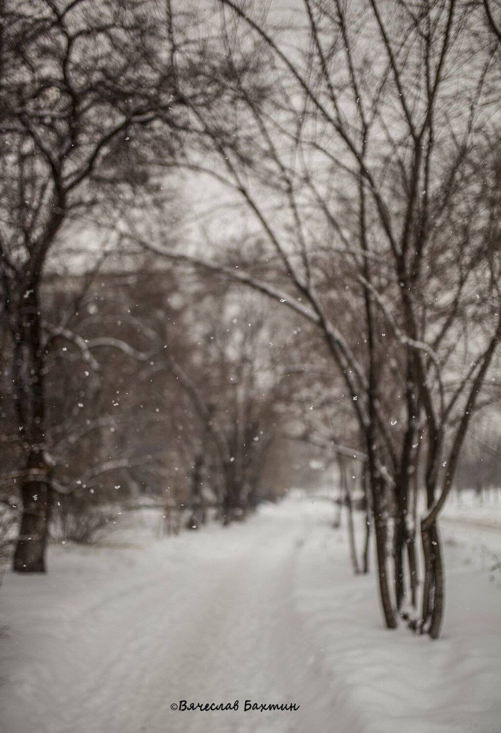 , Бахтин Вячеслав