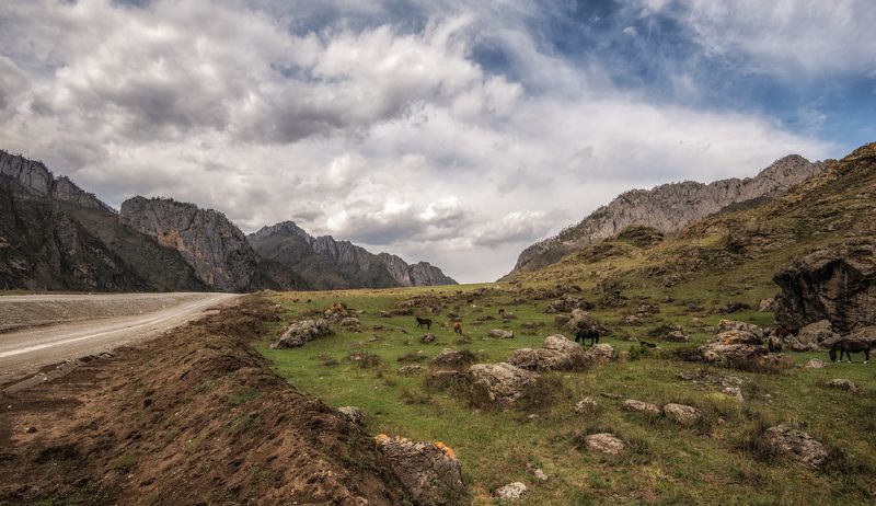 алтай, чемал дороги фото превью