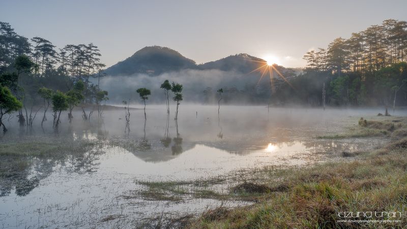 First light фото превью