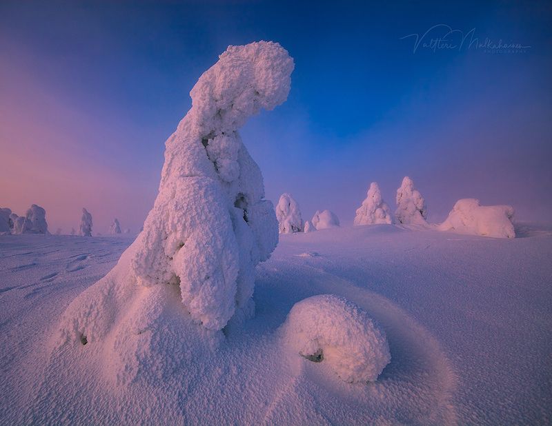 Уставший страж зимы фото превью