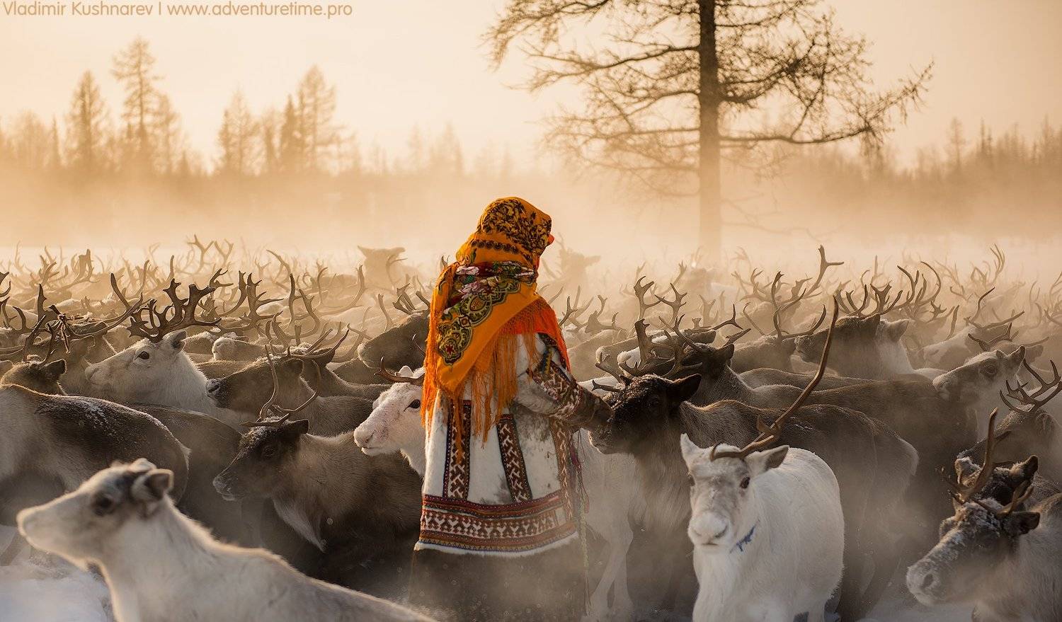 , Vladimir Kushnarev