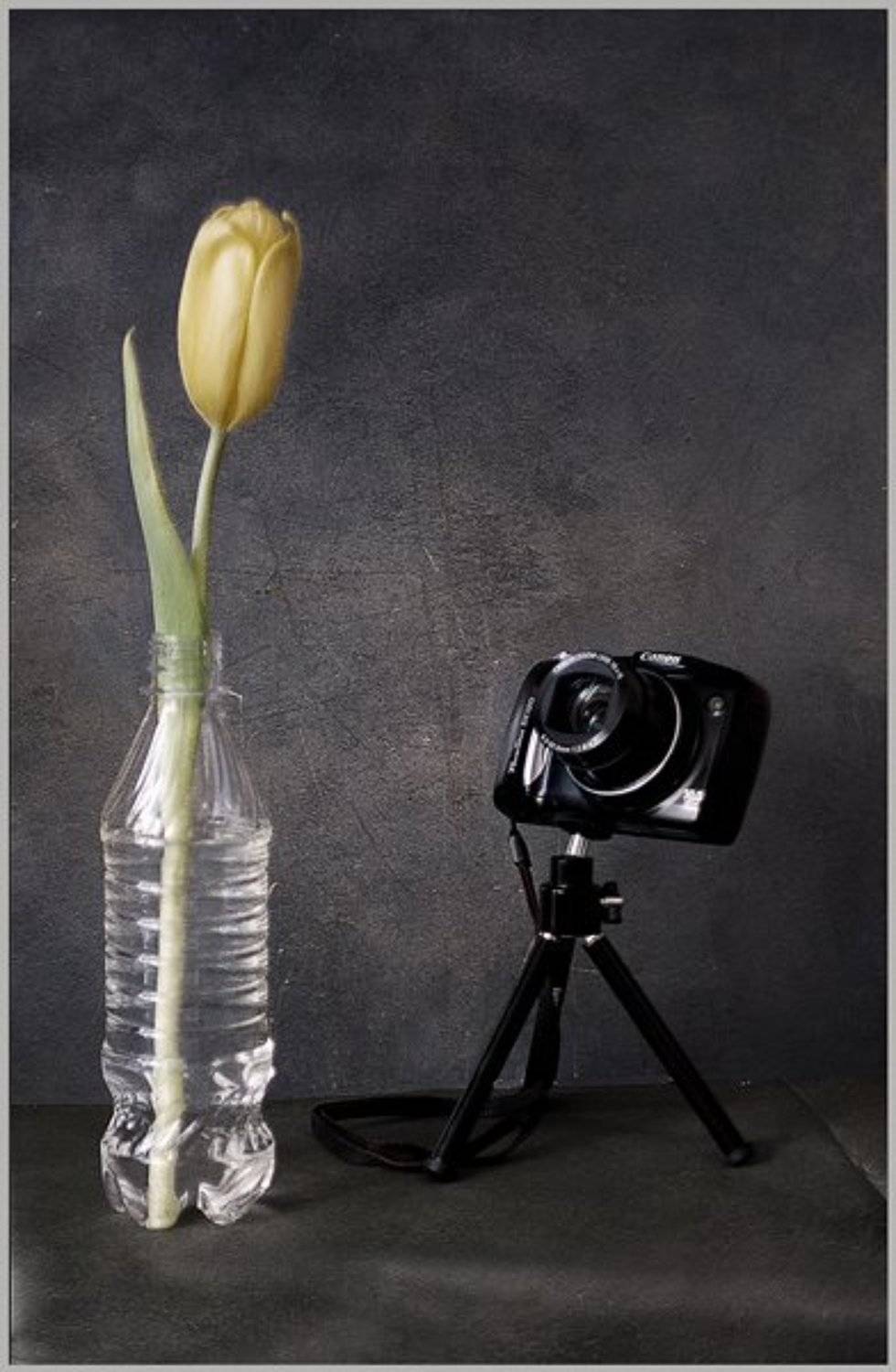 , Михаил Анисимов