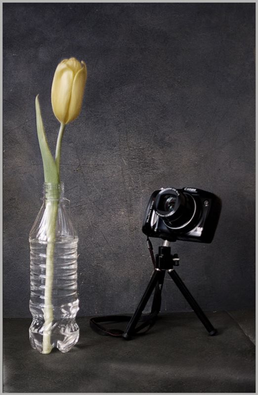 *** фото превью