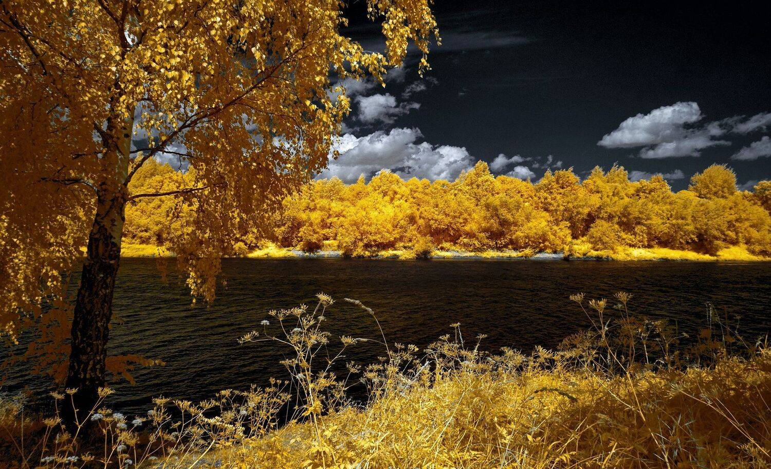 infrared,ик-фото,инфракрасное фото,инфракрасная фотография,пейзаж,природа,беларусь,лето, Sixten ( Сергей )