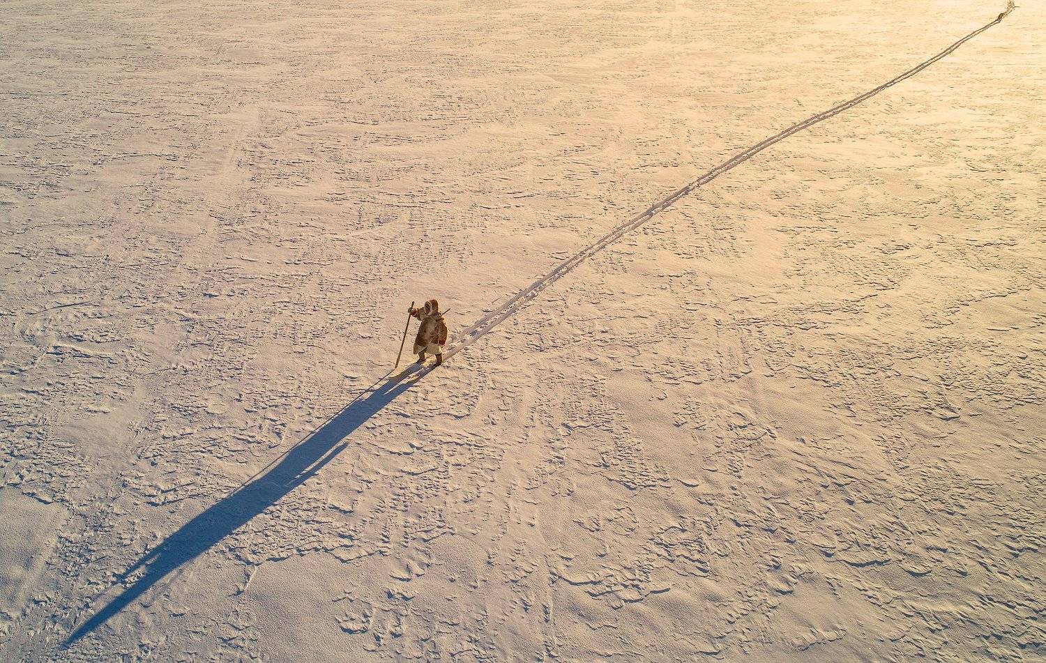 , Vladimir Kushnarev