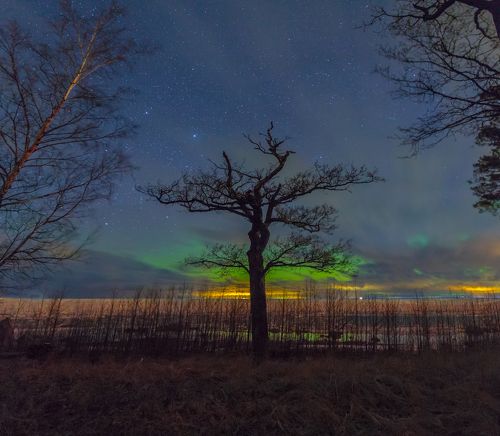 Северные сияния в Ленинградской области. сезон 2017