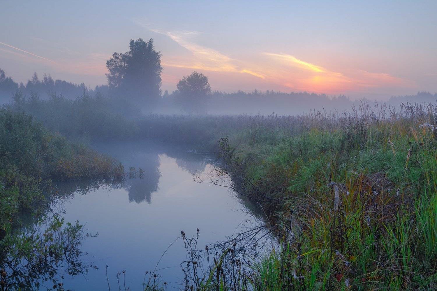 , Елена Рубинская