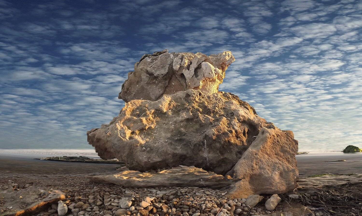 одесса, Сергей Кошелев