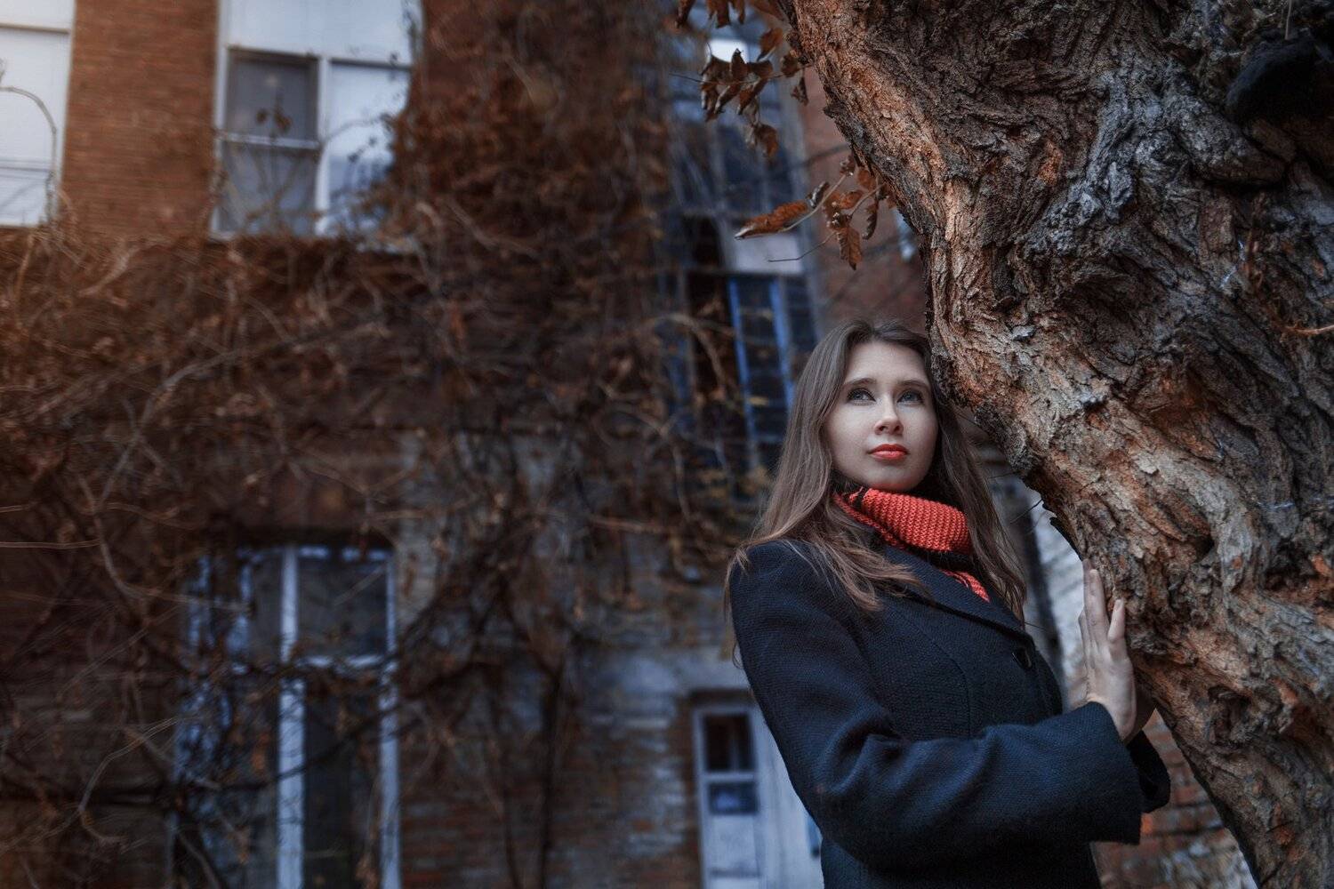 , Владимир Осауленко