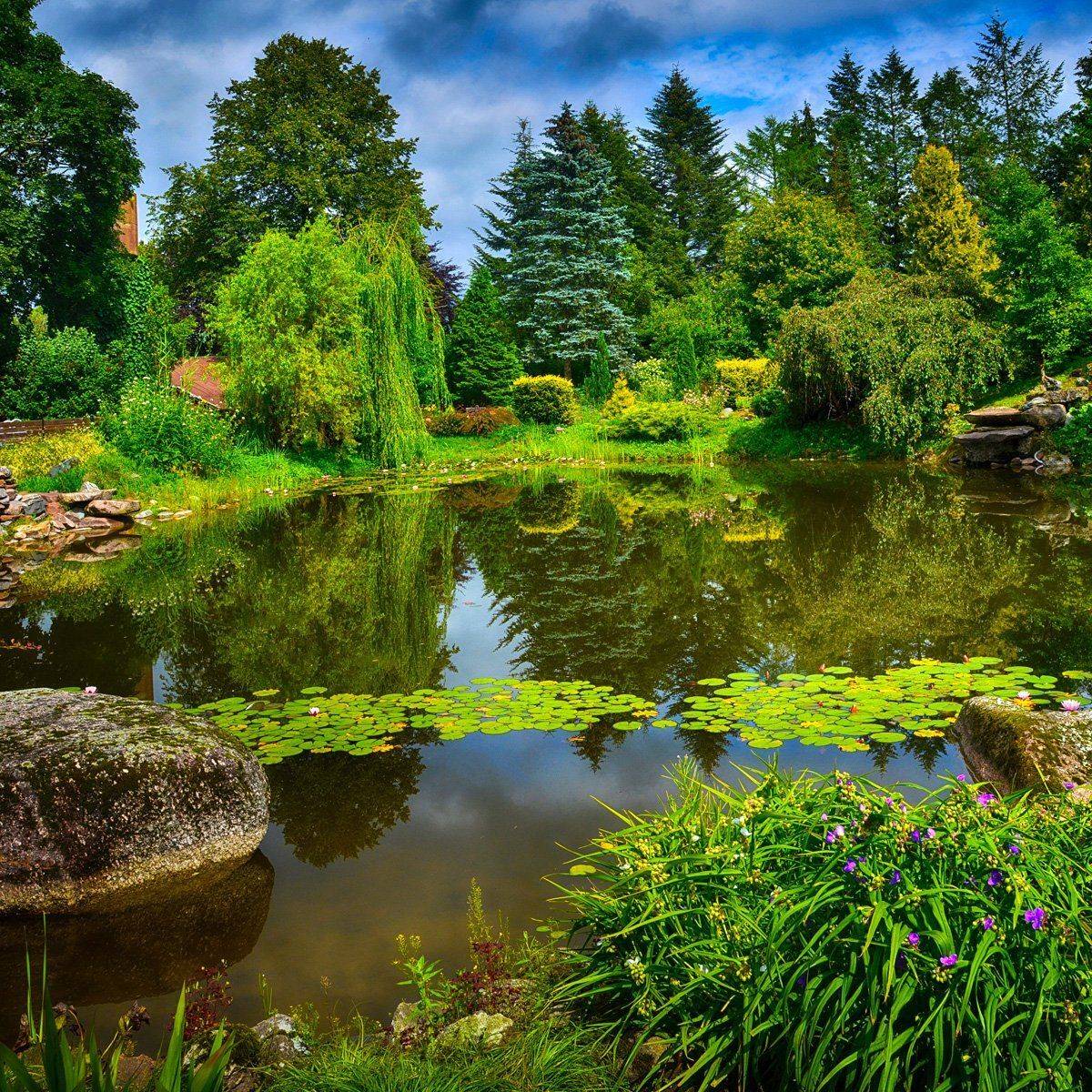 отражение, Rimantas Petrikas