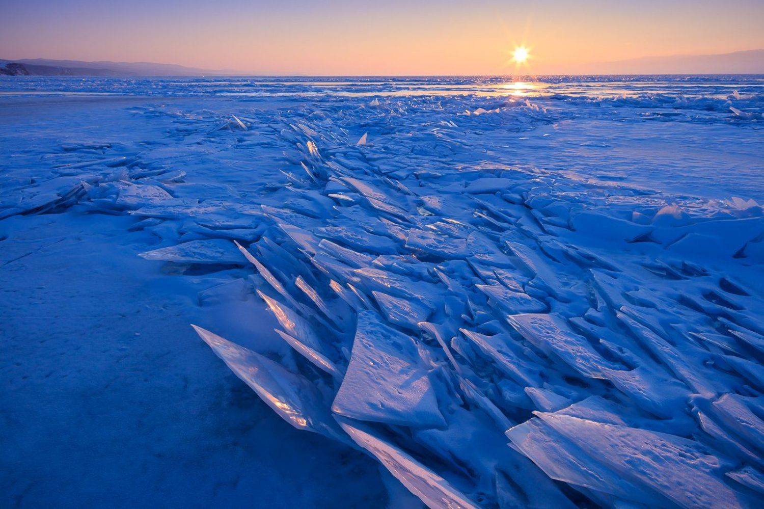 , Максим Стриганов