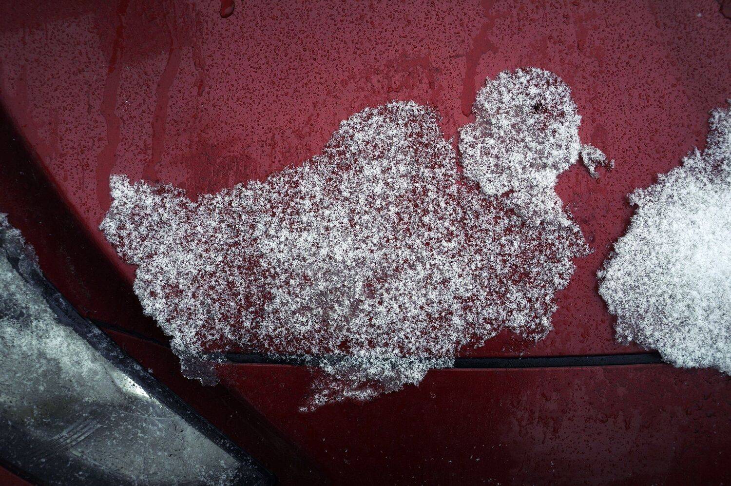 , ПОЛУЕВ ИЛЬЯ