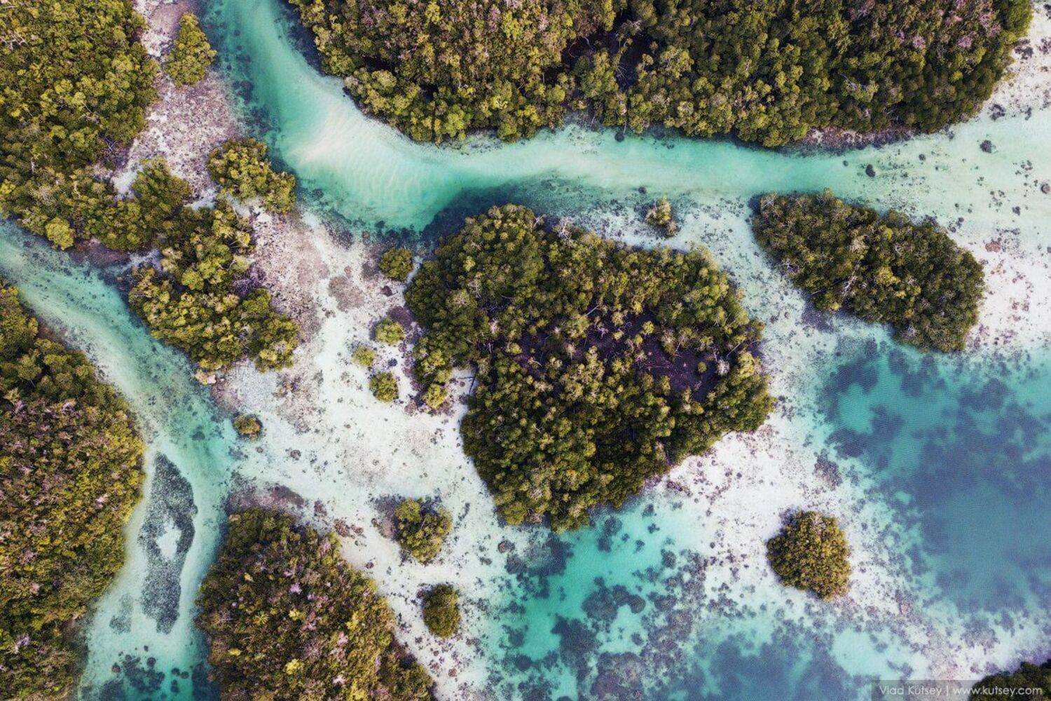 папуа, дрон, западная_папуа, джунгли, westpapua, west_papua, insonesia, индонезия, Владимир Куцый (Vlad Kutsey)