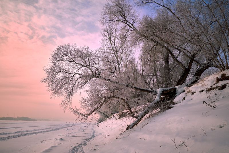 ... фото превью