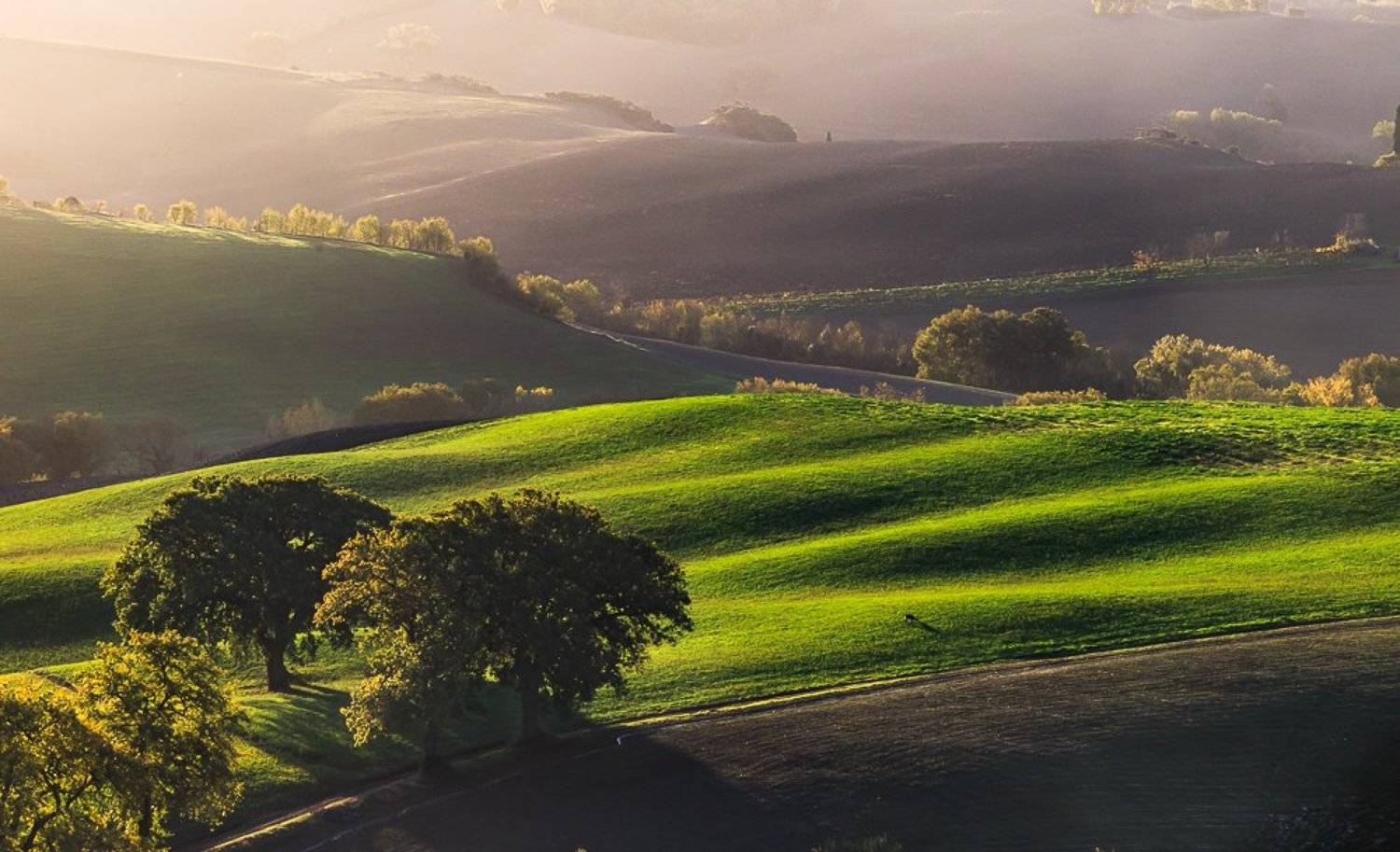 , Епишенкова Ксения