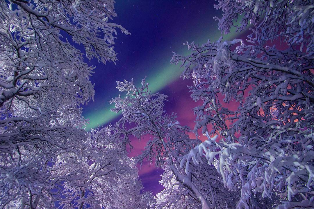 северное сияние, мороз, пейзаж, снег, иней, деревья, север, зима, небо, Салтыкова Алёна