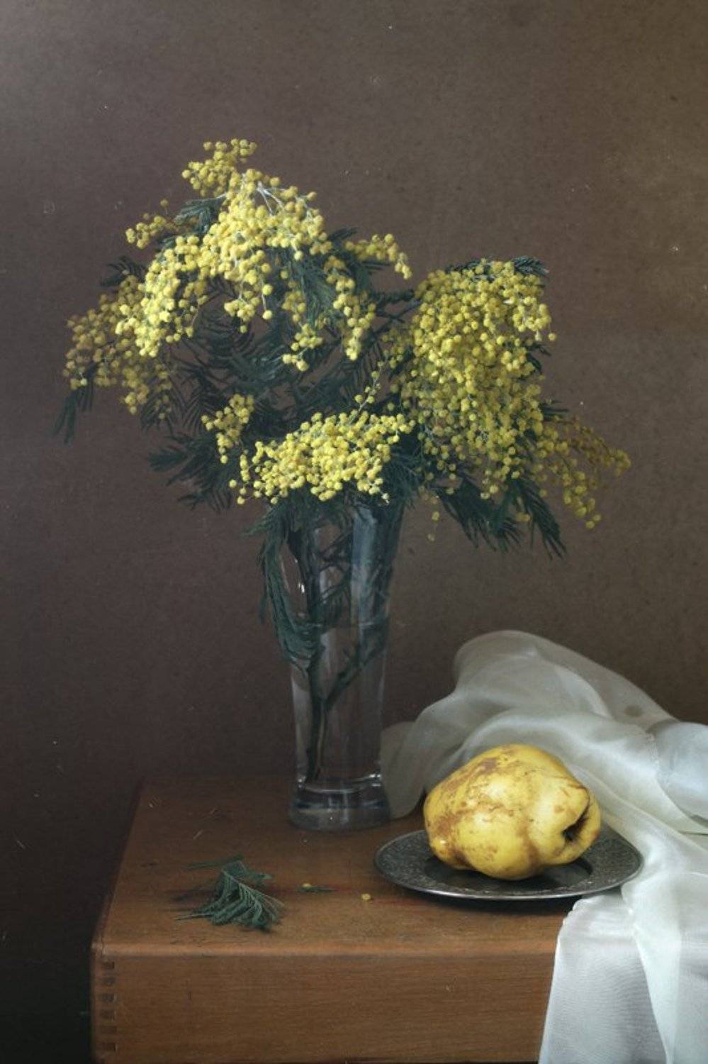 натюрморт, мимоза, айва, Курочкина Диана