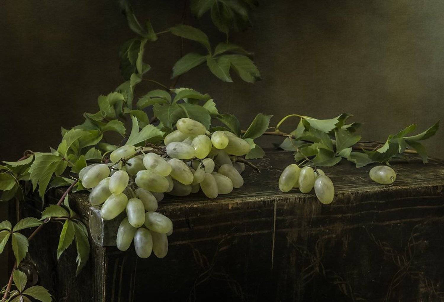 натюрморт, still life, Оля