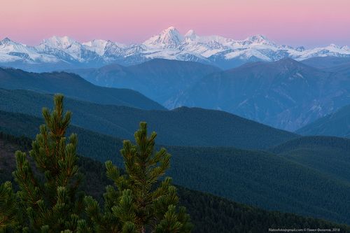 Кедрово Предрассветная