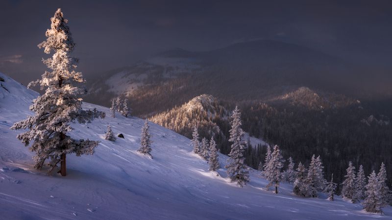Ускользающий свет фото превью