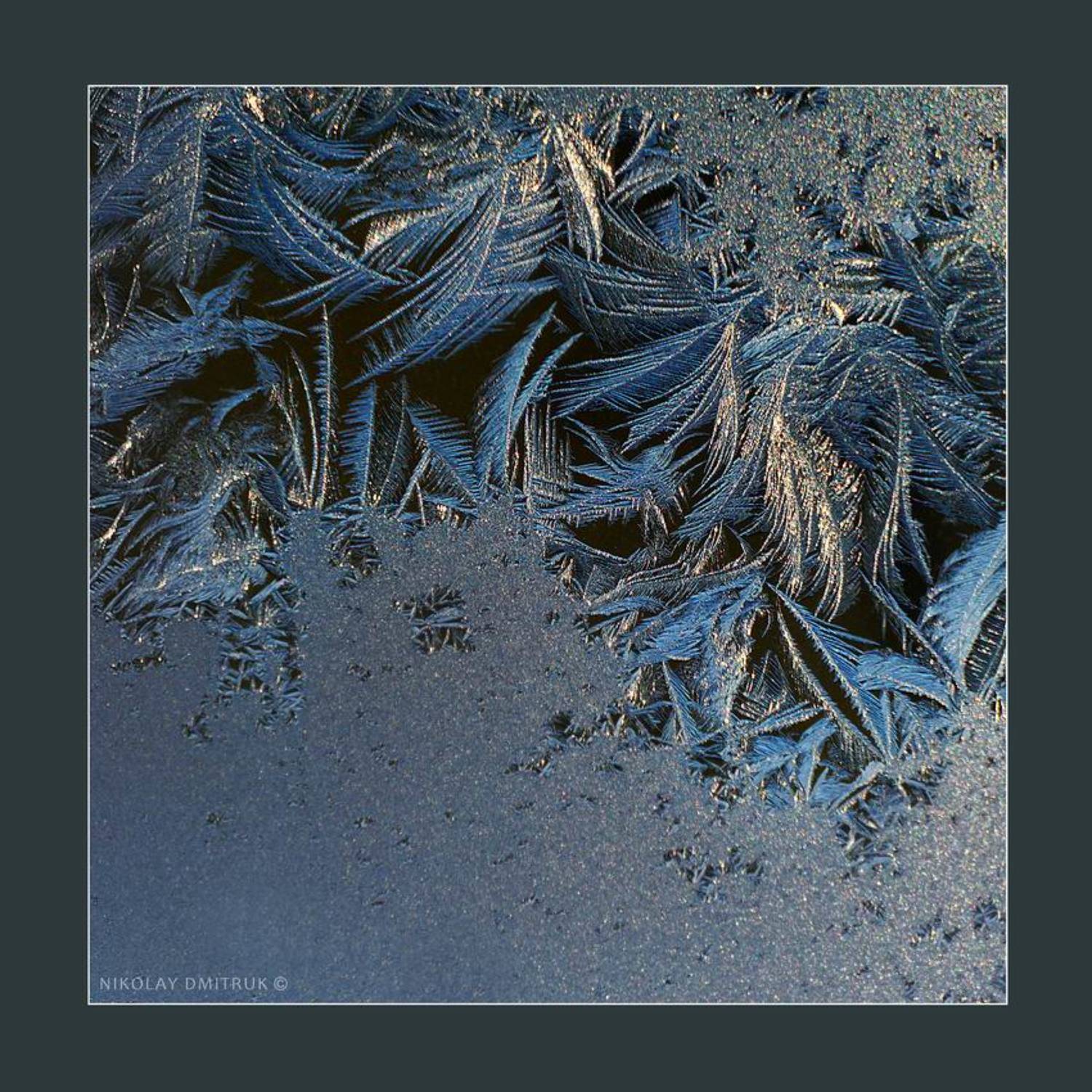 макро, мороз, музыка, николай дмитрук