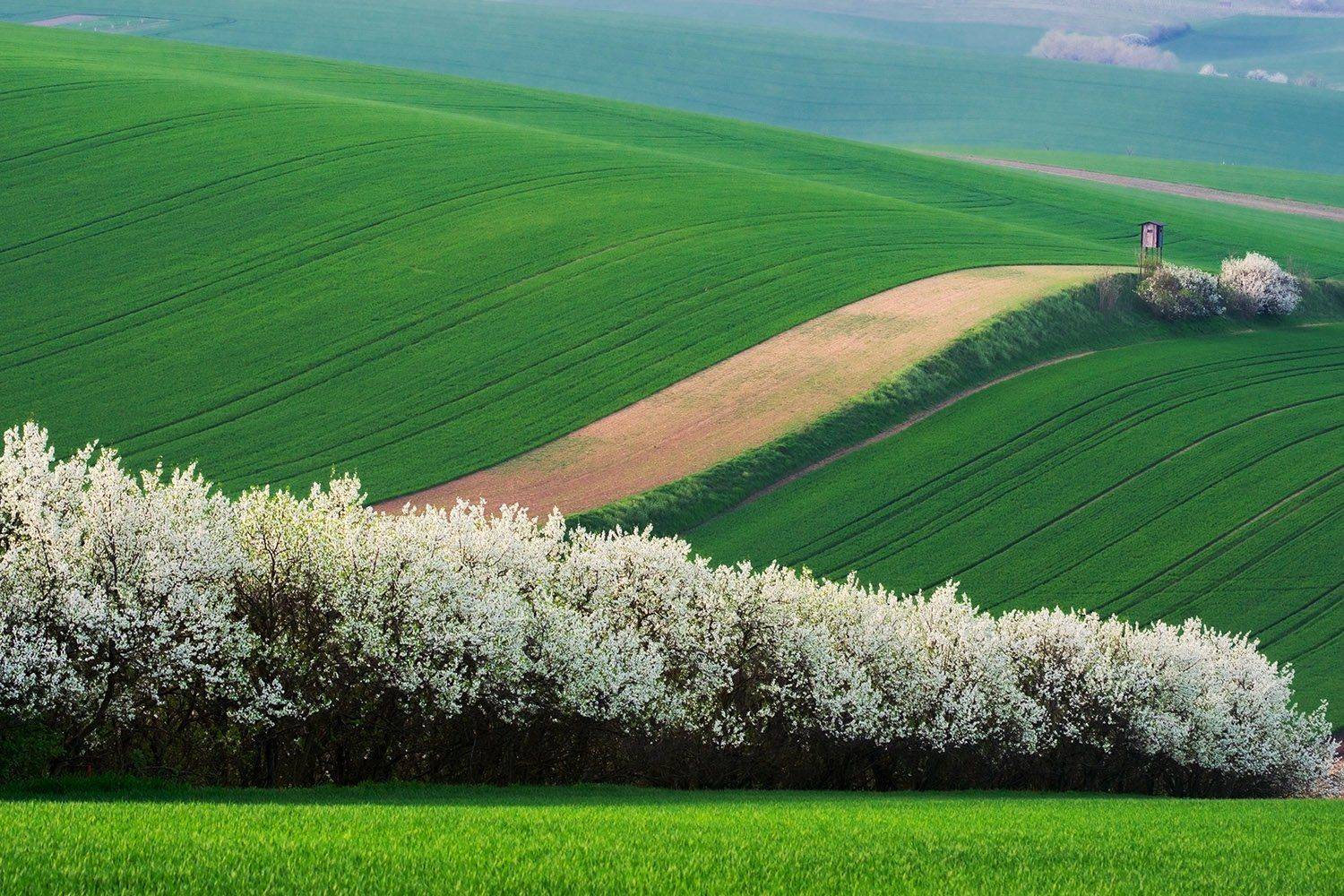 чехия, южноморавский край, весна, moravia, czech republic, пейзажи моравии, чешская тоскана, моравия, Татьяна Ефименко