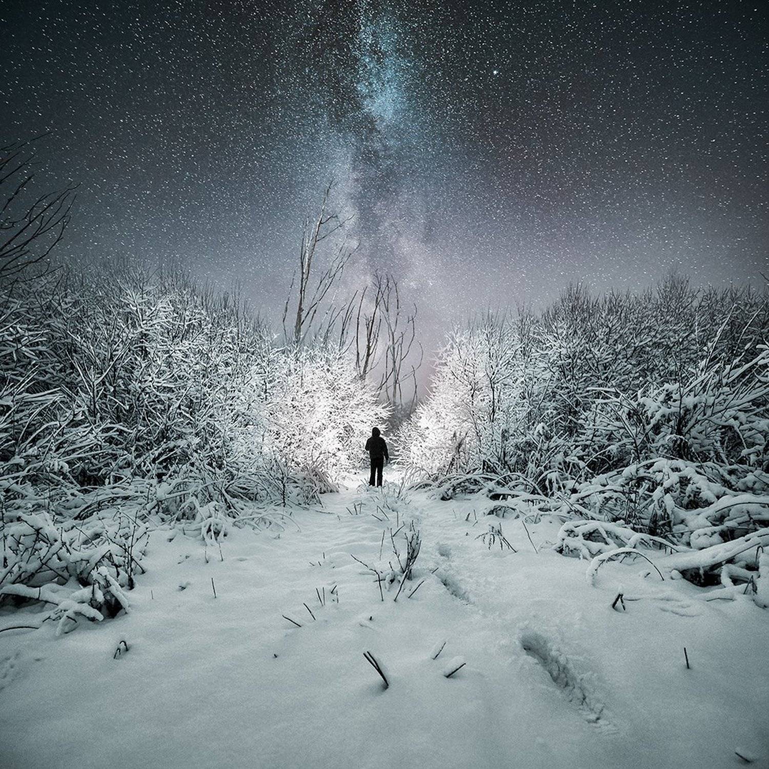 , Каревский Дмитрий